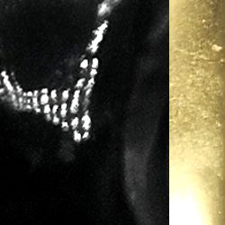 COLLIER ELLEN - Image 3