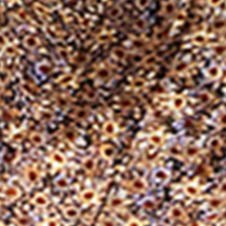 ROBE HARMONY - Image 6